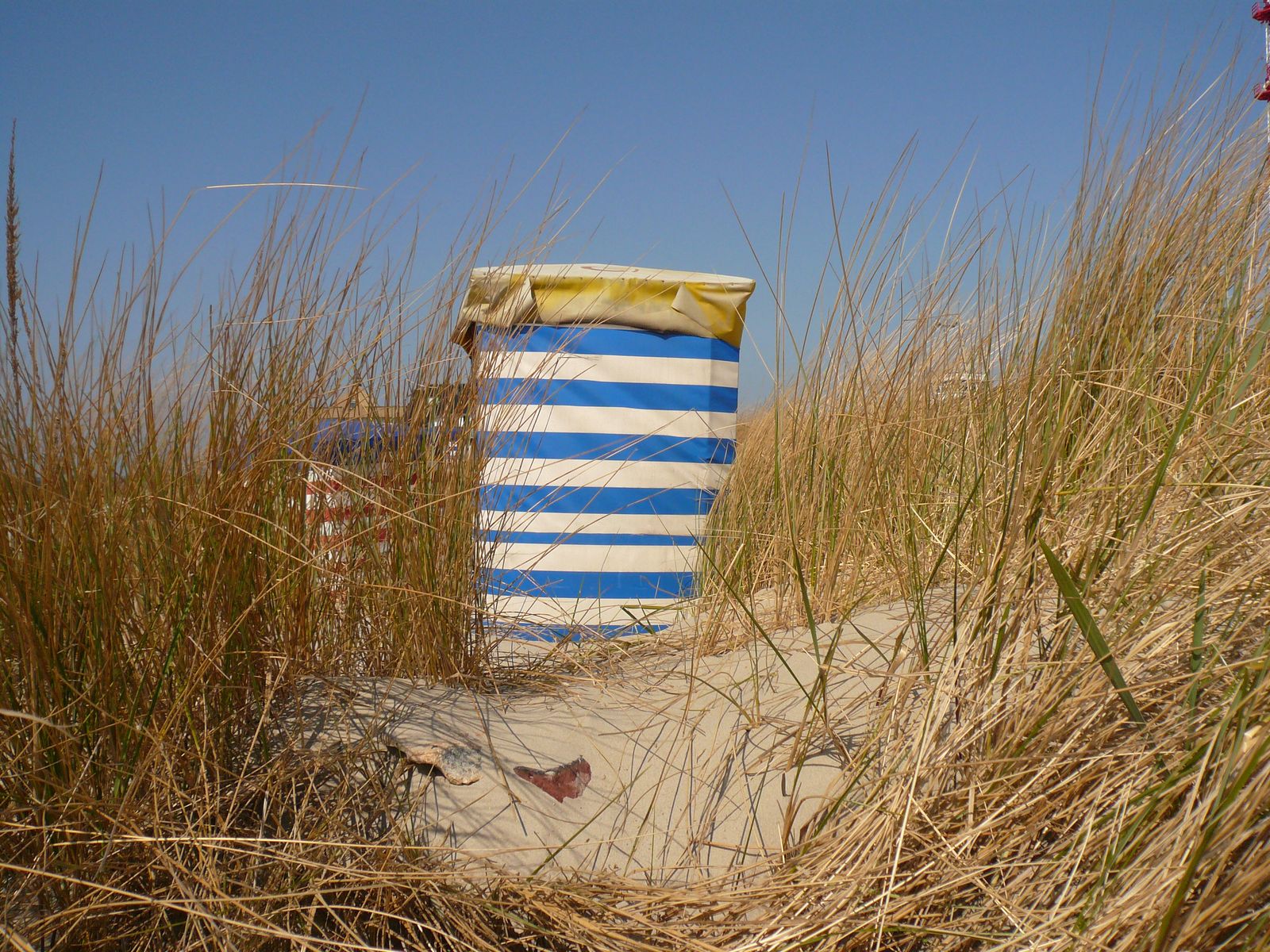 Strandkorb in den Dünen